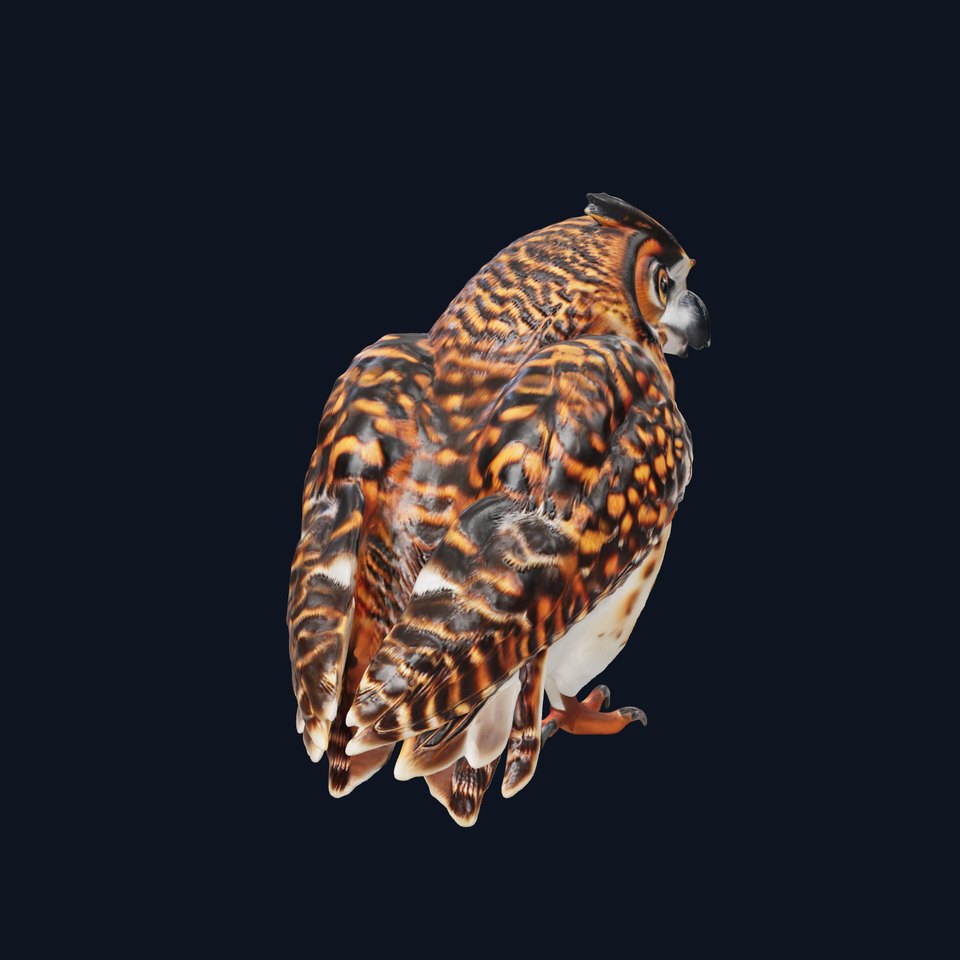 Detailed Owl Model Pack for Rendering and Games